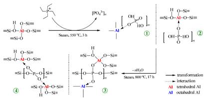 Cơ chế tương tác của P với Al trong quá trình thủy nhiệt ở các điều kiện khác nhau